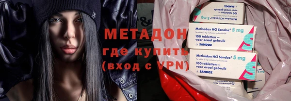 шишки Аркадак