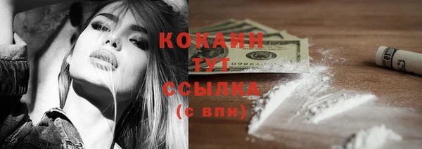 шишки Аркадак