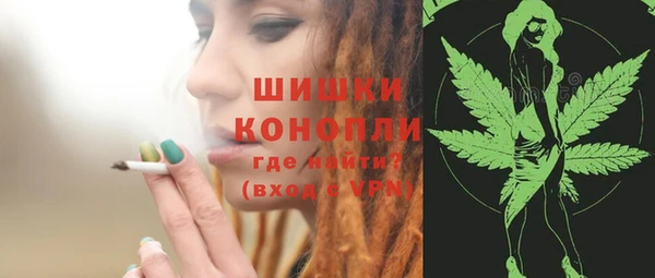 амф Арсеньев