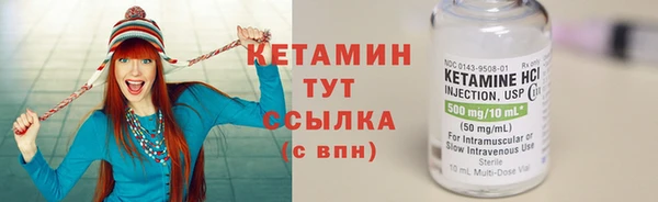 шишки Аркадак