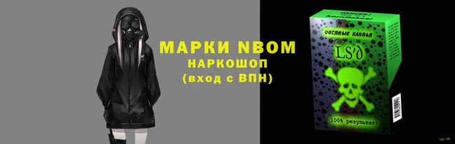 шишки Аркадак